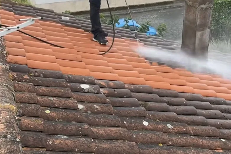 Nettoyage & démoussage toiture